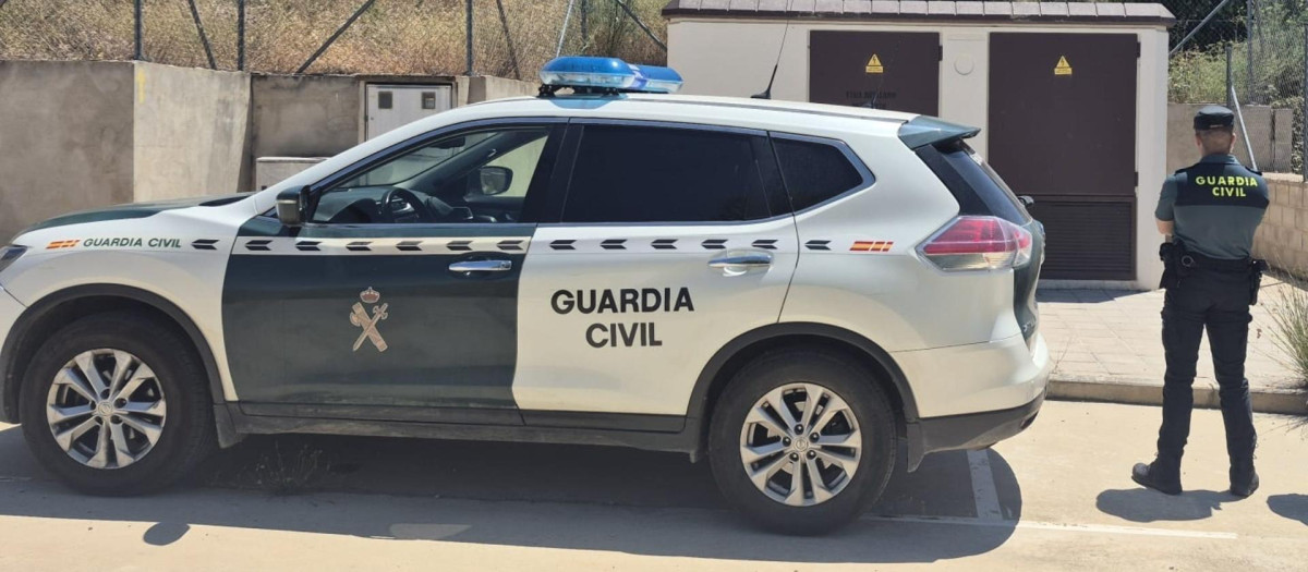 Vehículo y de la Guardia Civil y un agente.