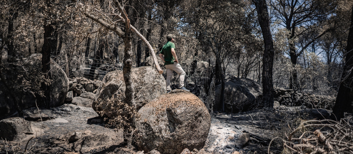Vista de la La Adrada, tras el incendio de Burgohondo, Ávila