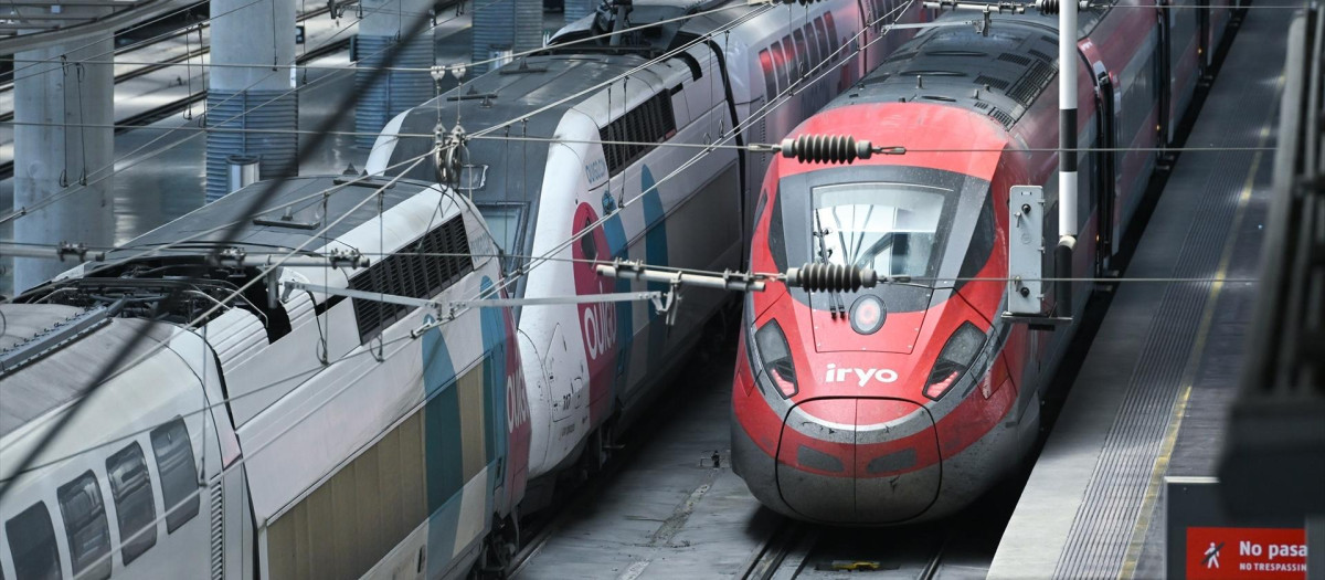 Dos trenes en la Estación de Atocha.