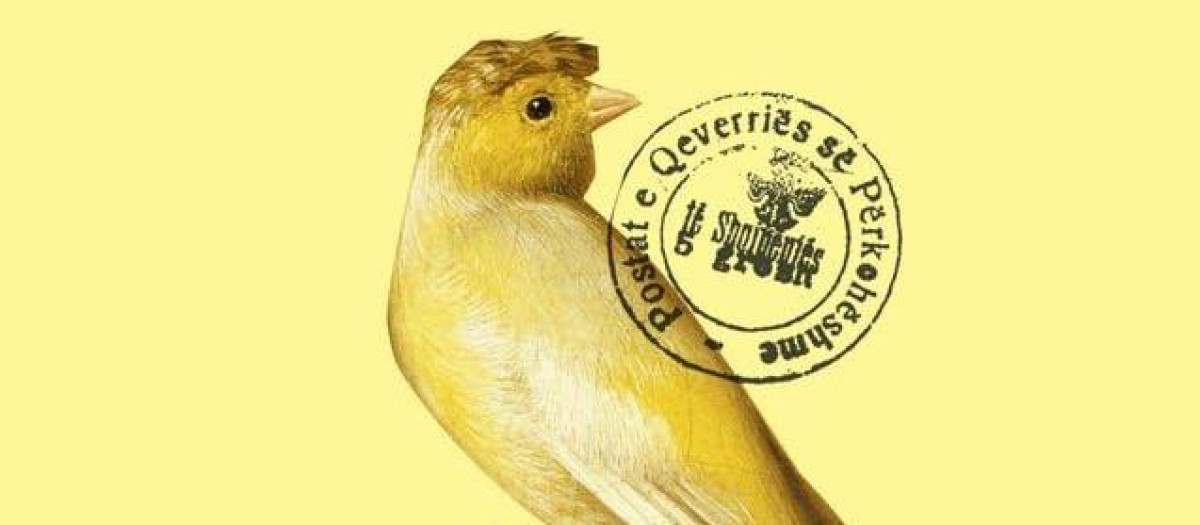 Cubierta de 'Indignidad'