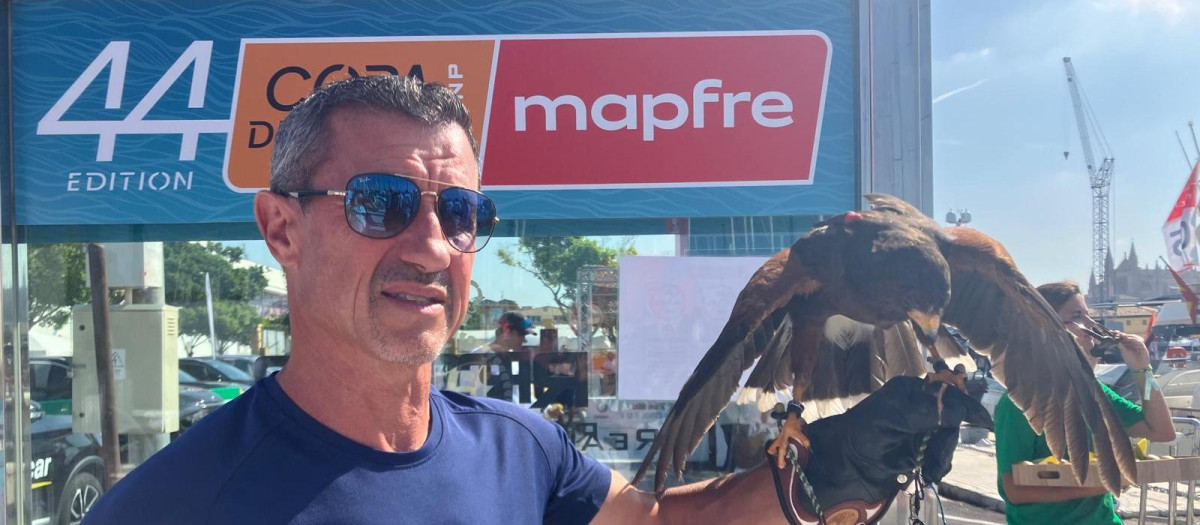 El cetrero Toni Mas con el aguila de Harris 'Flecha' en el Real Club Náutico de Palma
