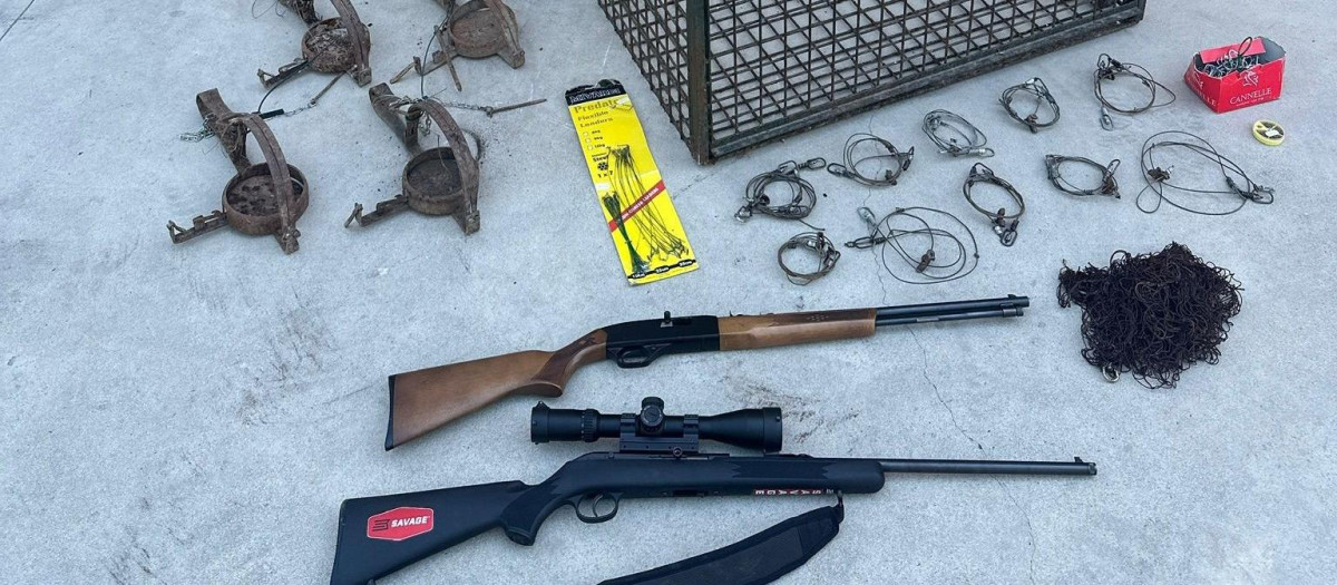 La Guardia Civil detiene a 3 personas por la muerte de un lince ibérico en Cuenca.

REMITIDA / HANDOUT por GUARDIA CIVIL
Fotografía remitida a medios de comunicación exclusivamente para ilustrar la noticia a la que hace referencia la imagen, y citando la procedencia de la imagen en la firma
06/8/2026