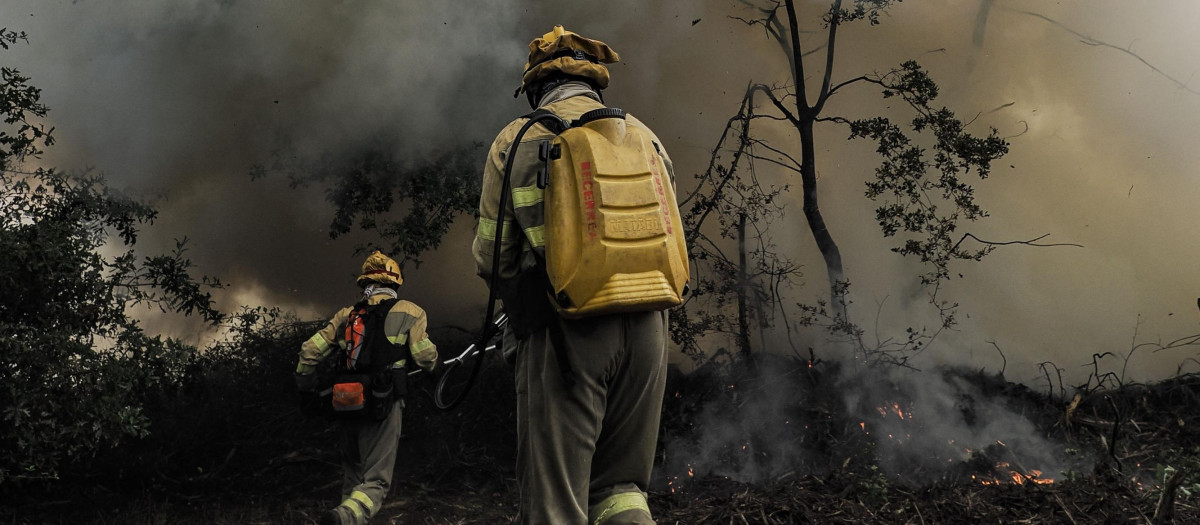 Bomberos forestales y unidades aéreas trabajan en la extinción de un incendio