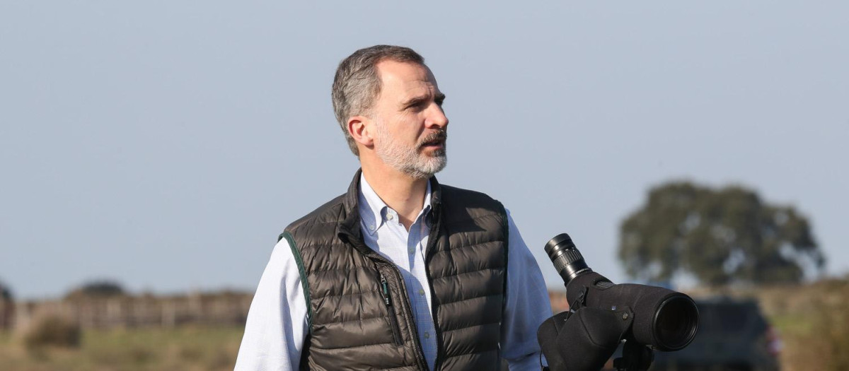 Don Felipe, durante una visita a Doñana
