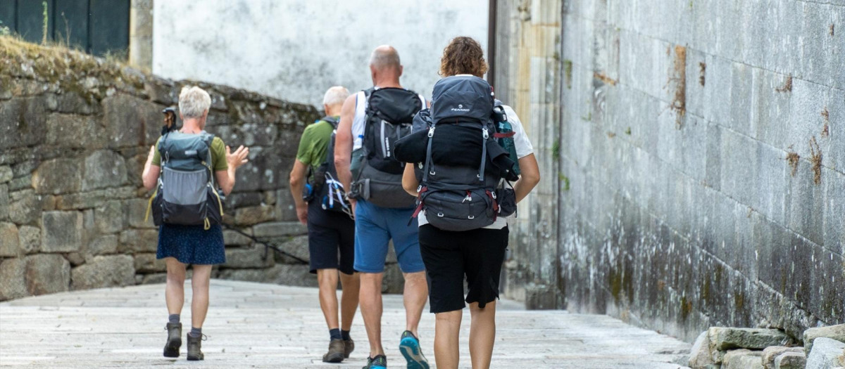 Peregrinos realizando el Camino de Santiago