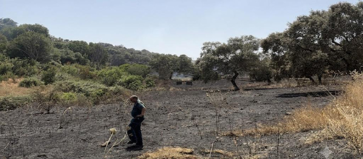 Agente del Seprona en la zona del l incendio