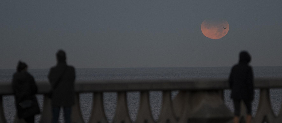 Imagen de archivo de personas observando un eclipse lunar