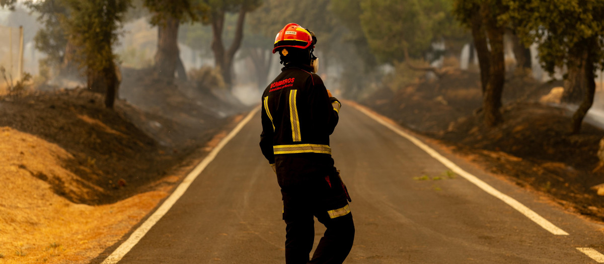 Un bombero trabaja en las labores de extinción de un incendio forestal