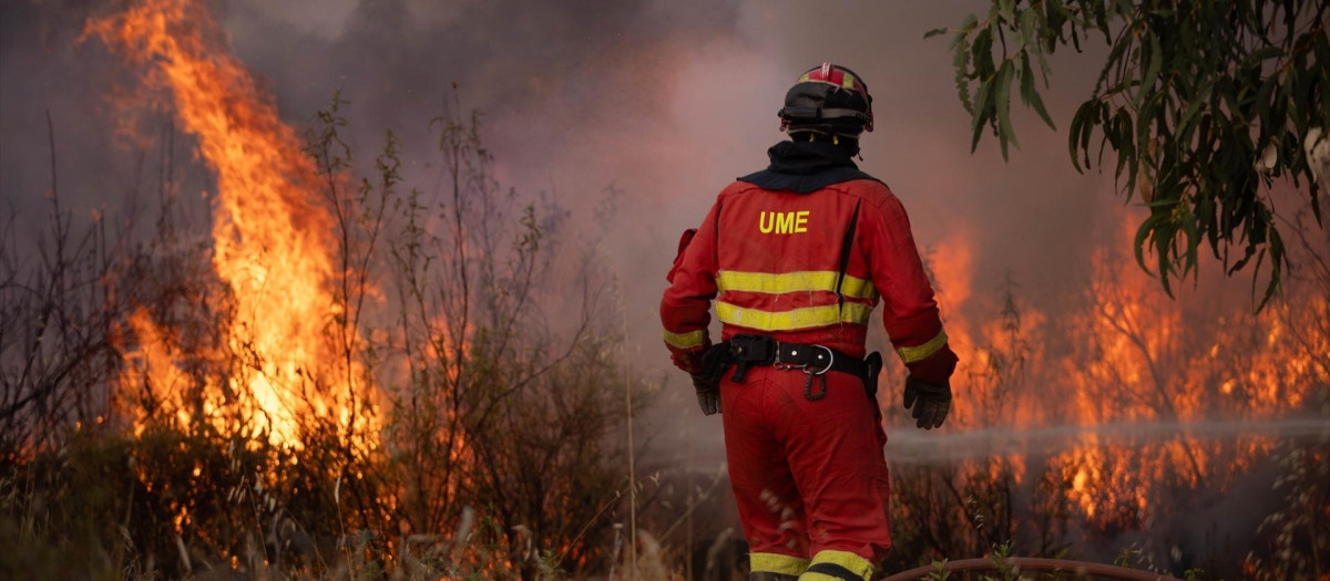 (Foto de ARCHIVO)
El incendio de Niebla (Huelva) continúa activo con más de 4.000 hectáreas afectadas. A 8 de agosto de 2026 en Niebla (Huelva, Andalucía, España). El incendio forestal declarado este pasado jueves en el paraje Raboconejo de Niebla (Huelva) supera la 4.000 hectáreas de extensión y mantiene activada la fase de emergencia, situación operativa 2, ante los continuos cambios de viento que están dificultando las labores de más de 300 efectivos que trabajan en su extinción.

Clara Carrasco / Europa Press
08/8/2026