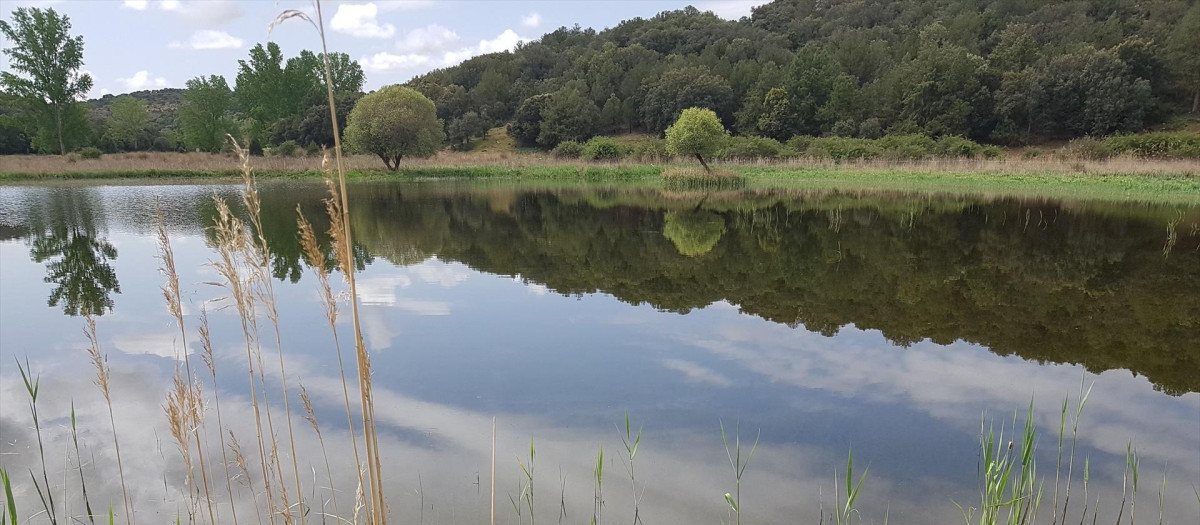La restauración del Valle de las Hazadillas.

REMITIDA / HANDOUT por JCCM
Fotografía remitida a medios de comunicación exclusivamente para ilustrar la noticia a la que hace referencia la imagen, y citando la procedencia de la imagen en la firma
14/8/2026