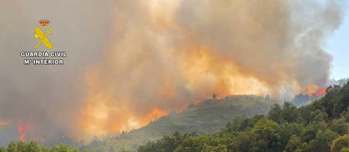 Imágenes del incendio de La Utrera (León)

REMITIDA / HANDOUT por GUARDIA CIVIL
Fotografía remitida a medios de comunicación exclusivamente para ilustrar la noticia a la que hace referencia la imagen, y citando la procedencia de la imagen en la firma
14/8/2026