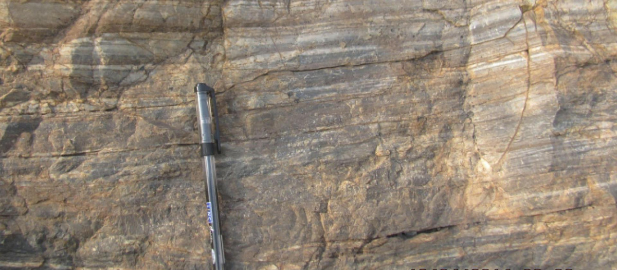Bandas de carbono oscuras presentes en rocas de sílex, en el cratón de Singhbhum, el este de la India