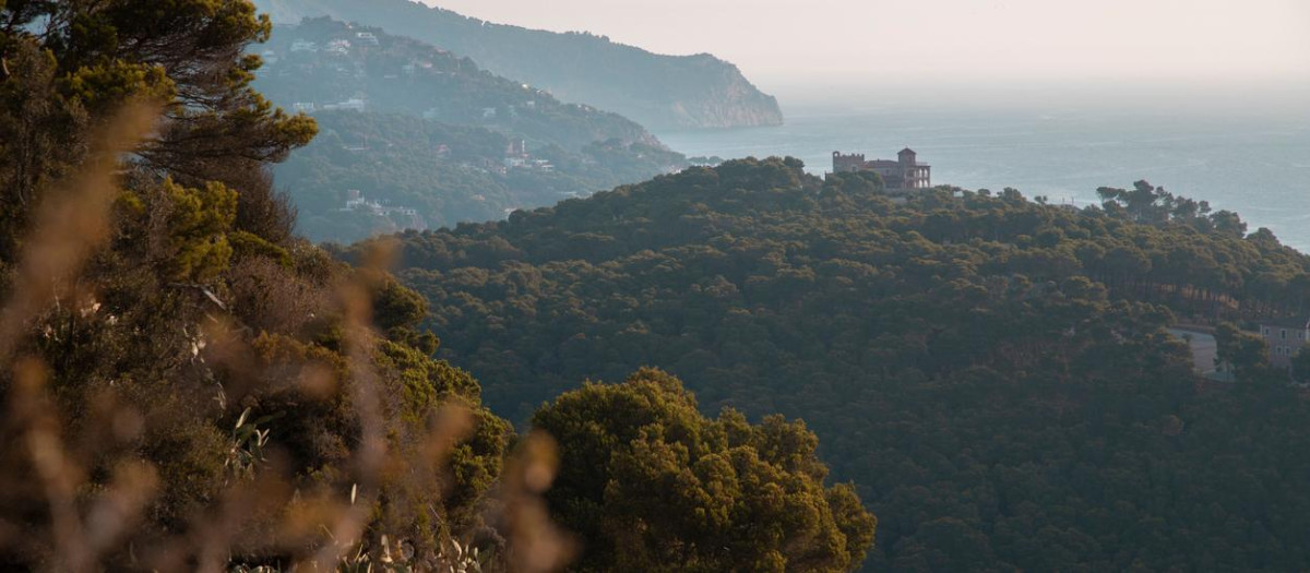 Vista aérea de las montañas del bosque en la Costa Brava en Cataluña.