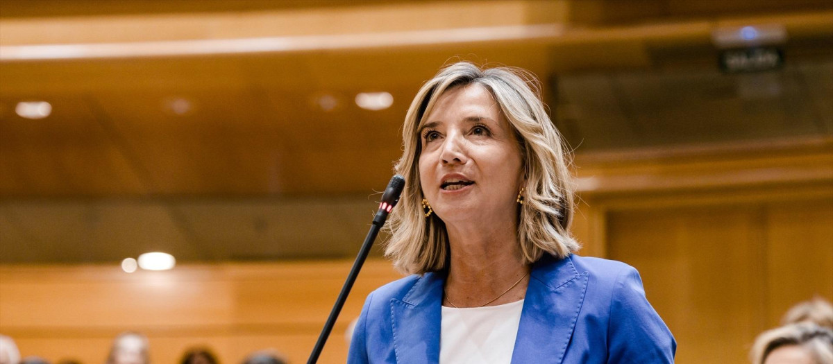 La portavoz del PP en el Senado, Alicia García
