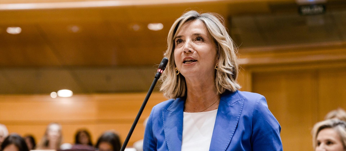 La portavoz del PP en el Senado, Alicia García