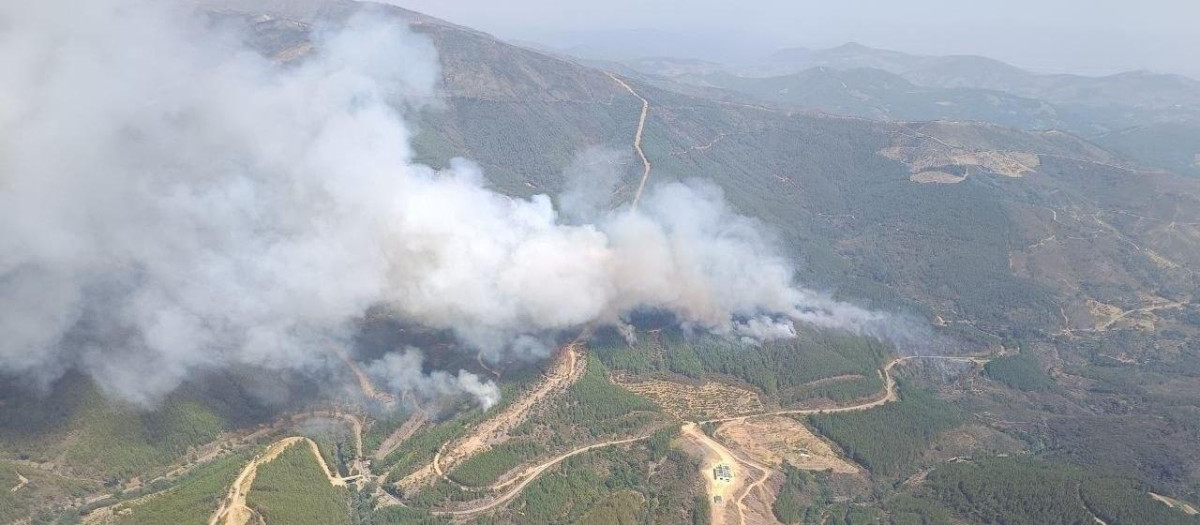 Incendio declarado en el término municipal de Pinofranqueado (Cáceres)