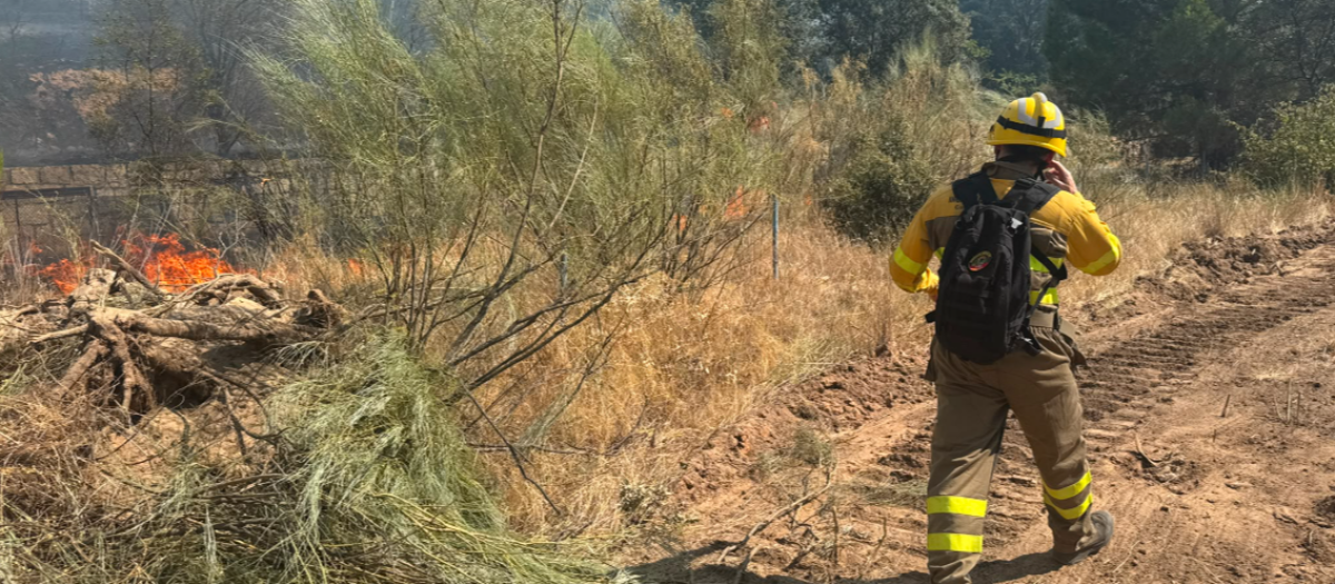 Los servicios de emergencias trabajan en la extinción del fuego en Aldea del Fresno