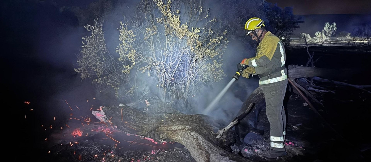 Un bombero de la Comunidad de Madrid trabaja en el incendio en Aldea del Fresno