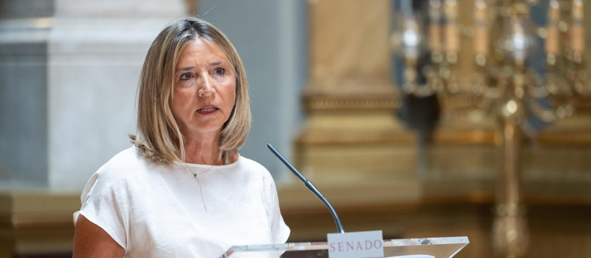 La portavoz del PP en el Senado, Alicia García, el miércoles