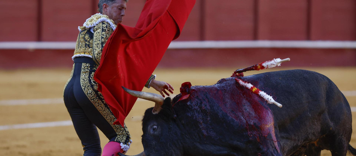 Escribano, en el momento en que le coge el primer toro de su lote