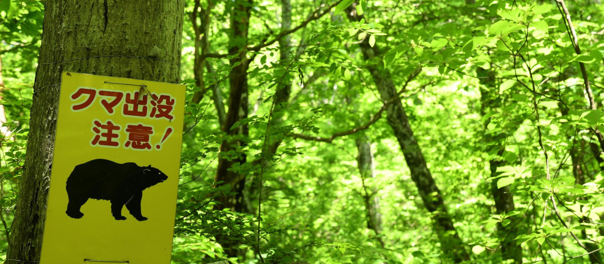 Señal que alerta de la presencia de osos en un bosque de Japón