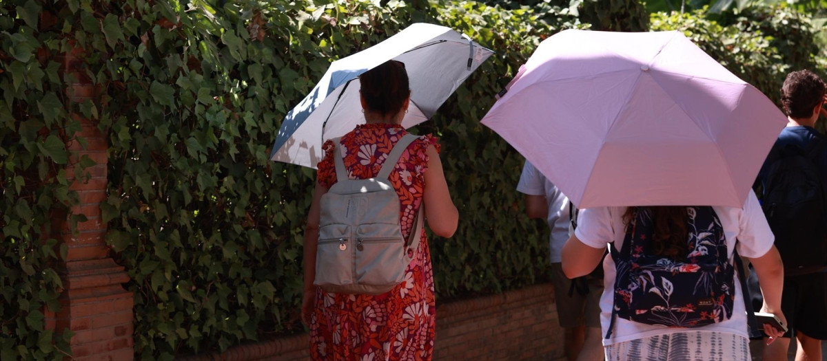 Varias personas se refugian del sol con paraguas