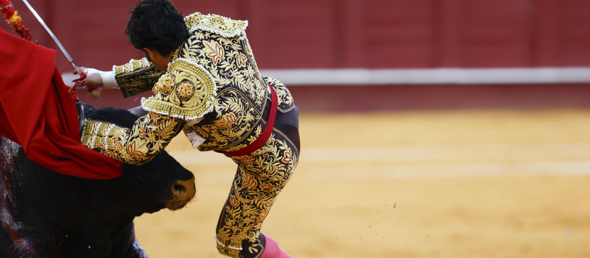 Percance de Morante de la Puebla el sábado pasado en Málaga