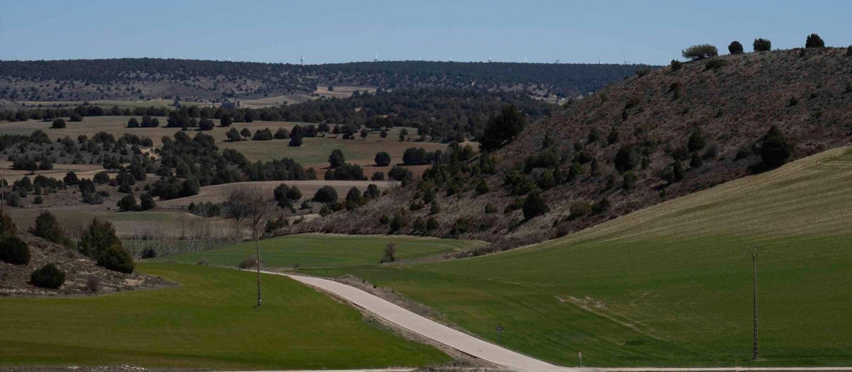 Valle del Mesa.

REMITIDA / HANDOUT por AMPARO VILLAR
Fotografía remitida a medios de comunicación exclusivamente para ilustrar la noticia a la que hace referencia la imagen, y citando la procedencia de la imagen en la firma
26/8/2026
