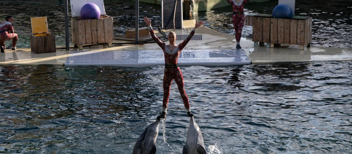 Imagen de un espectáculo del Marineland de Antibes (Francia)