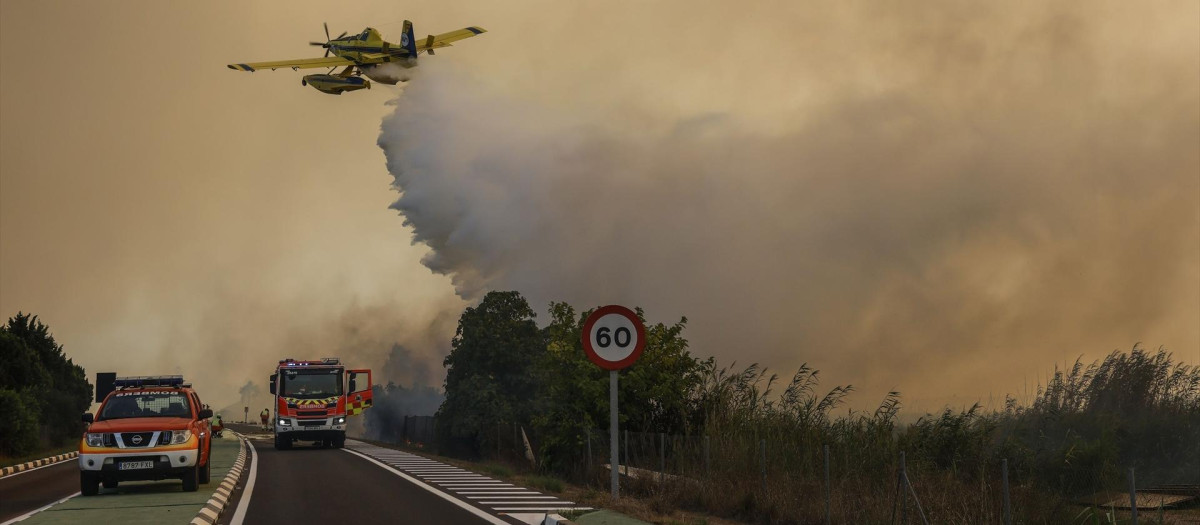 Un avión y coches de bomberos durante las labores de extinción de un incendio forestal, a 27 de agosto de 2026, en la Gola de Pujol, El Saler, Valencia