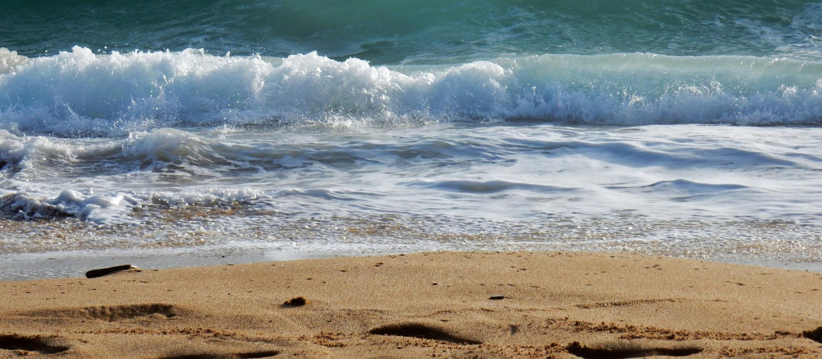 Olas de mar en una playa