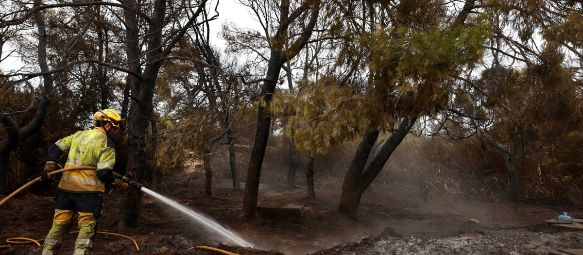 Bomberos trabajando este viernes en el fuego de El Saler