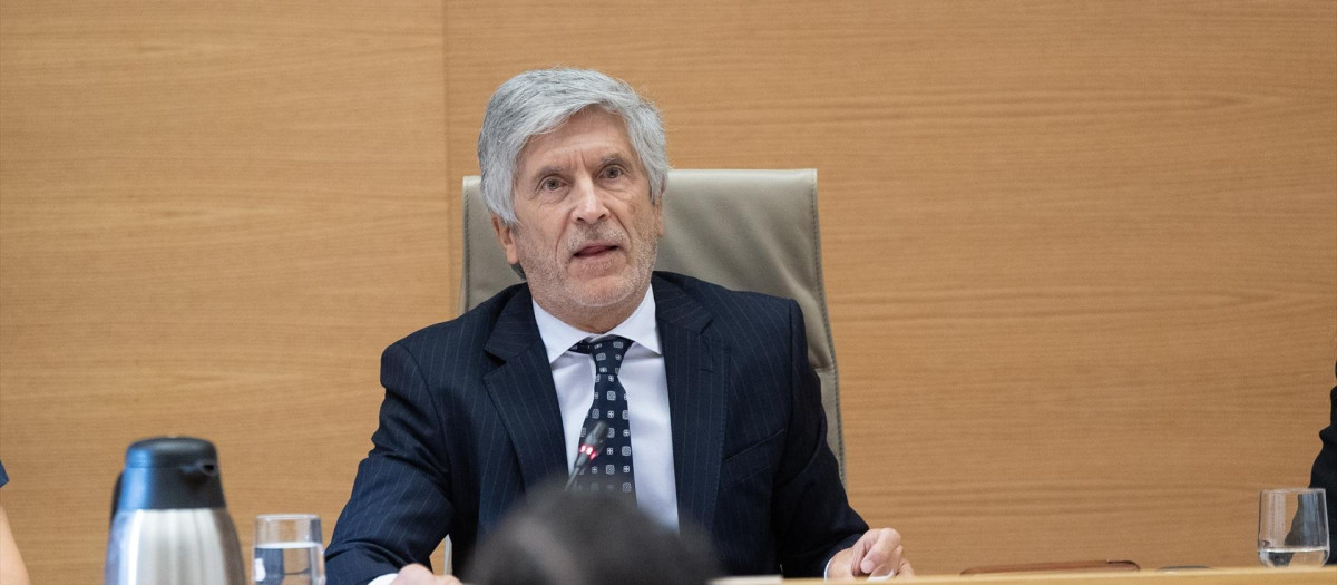 El ministro de Interior, Fernando Grande Marlasaka, este viernes