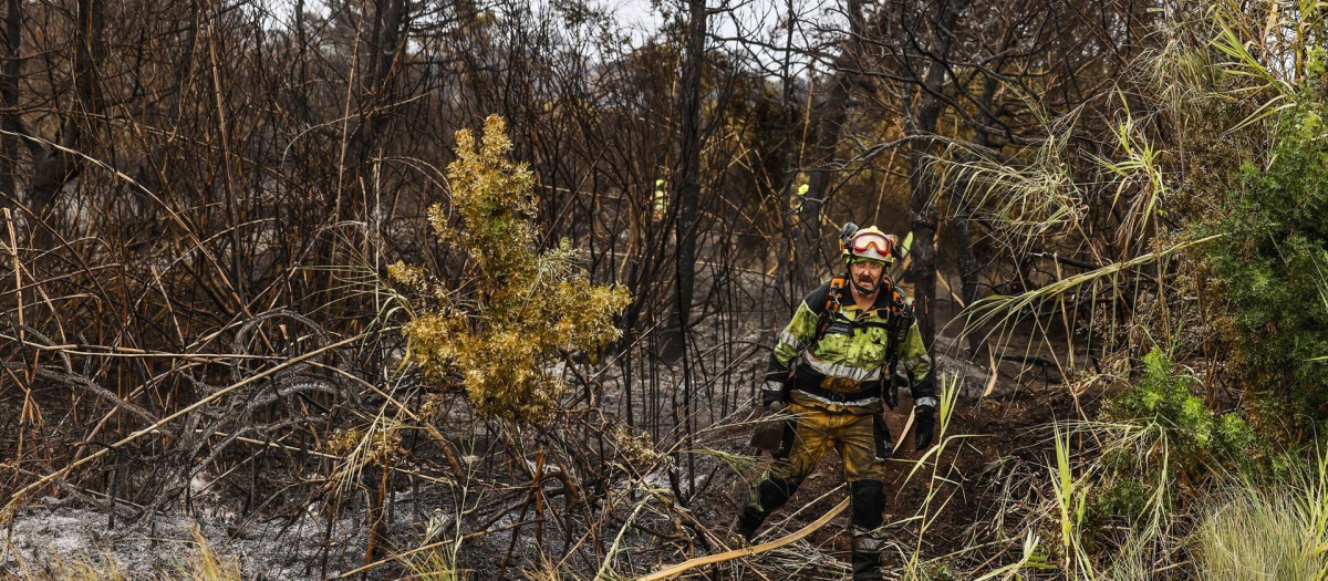 Un bombero realiza labores de extinción de incendios en El Saler (Valencia)