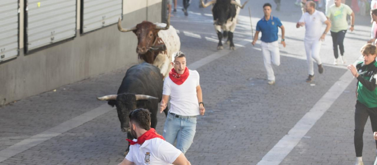 Primero de los encierros de las fiestas de Cuéllar