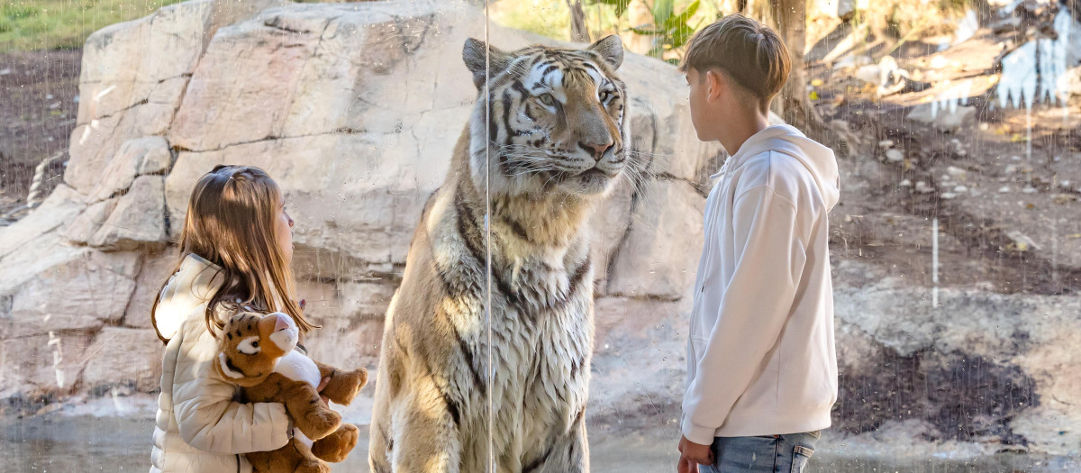 Imagen del pase de invierno de Terra natura