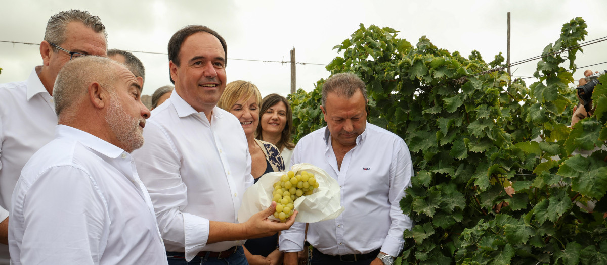El presidente de la Generalitat Valenciana, Juanfran Pérez Llorca, asiste al acto del Primer Corte de la Uva Embolsada del Vinalopó