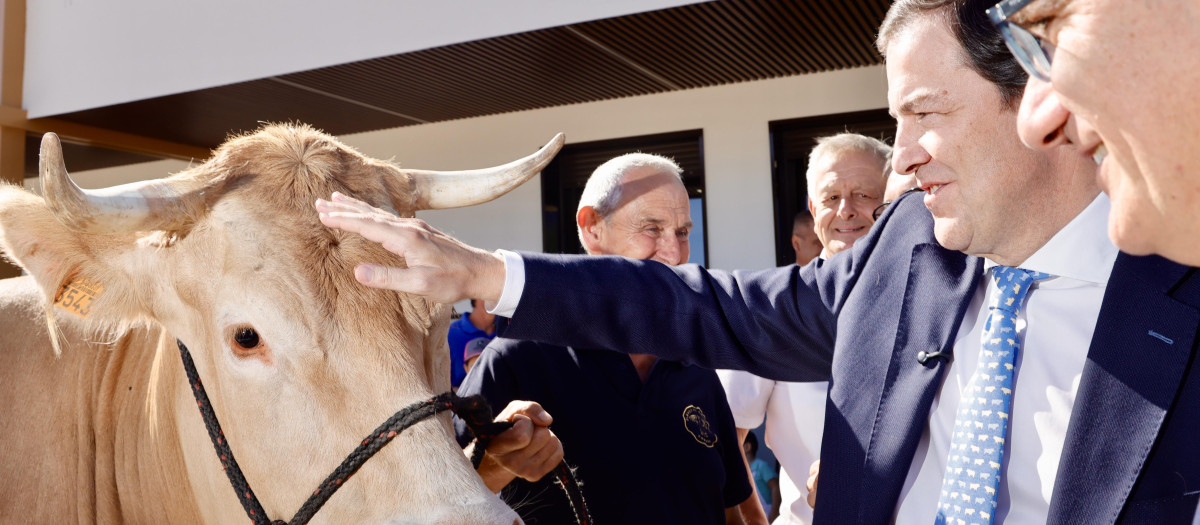 El presidente de la Junta de Castilla y León, Alfonso Fernández Mañueco, inaugura la Feria Salamaq 2026