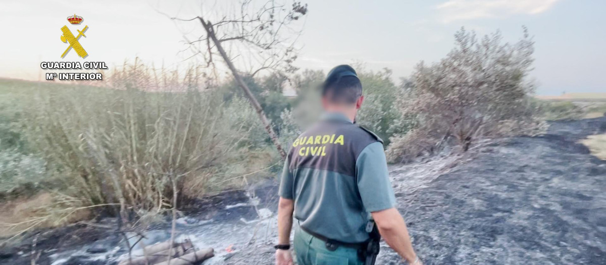 Guardia del Seprona sobre el terreno quemado tras un incendio