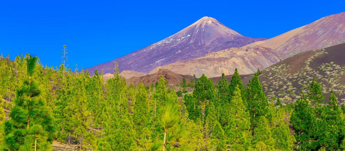 Paisaje de la isla de Tenerife