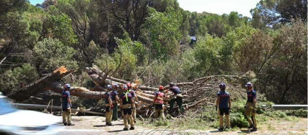 Zonas calcinadas tras el paso del incendio en la Sierra Oeste