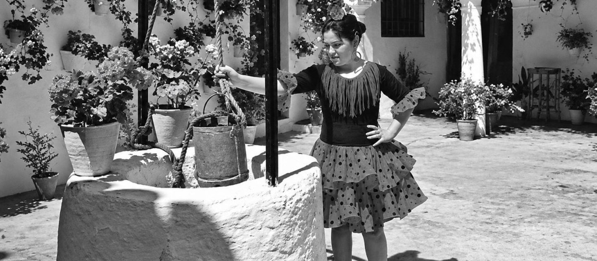 Antiguo pozo en un patio de Córdoba