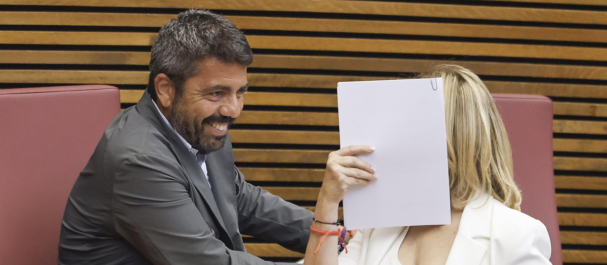 Imagen de Carlos Mazón tomada en las Cortes Valencianas