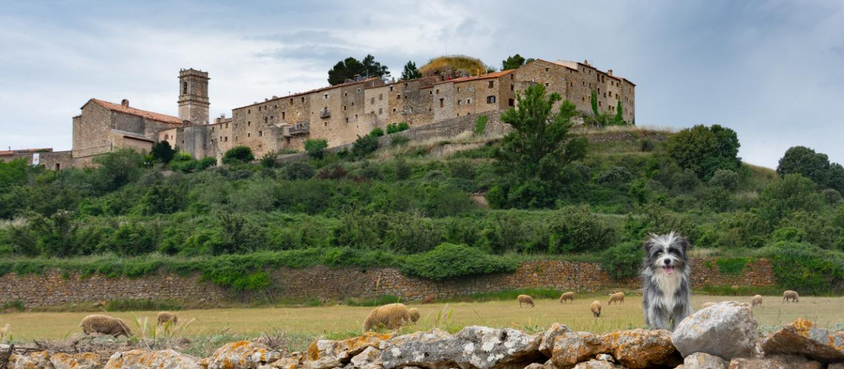 El bonito pueblo medieval de Castellón que custodia una carrasca de 500 años y 75 toneladas