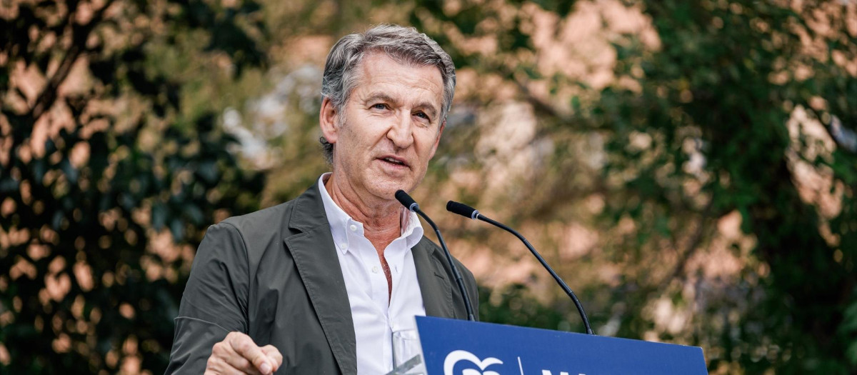 El presidente del PP, Alberto Núñez Feijóo