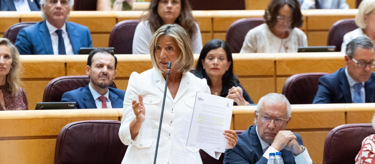 La portavoz del PP en el Senado, Alicia García, interviene durante una sesión plenaria en el Senado
Jesús Hellín / Europa Press
08 SEPTIEMBRE 2026;SENADO;PLENO;
08/9/2026
