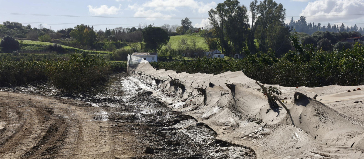 Imagen de zonas agrícolas afectadas por el tren de borrascas en Jerez de la Frontera (Cádiz), en febrero de 2026