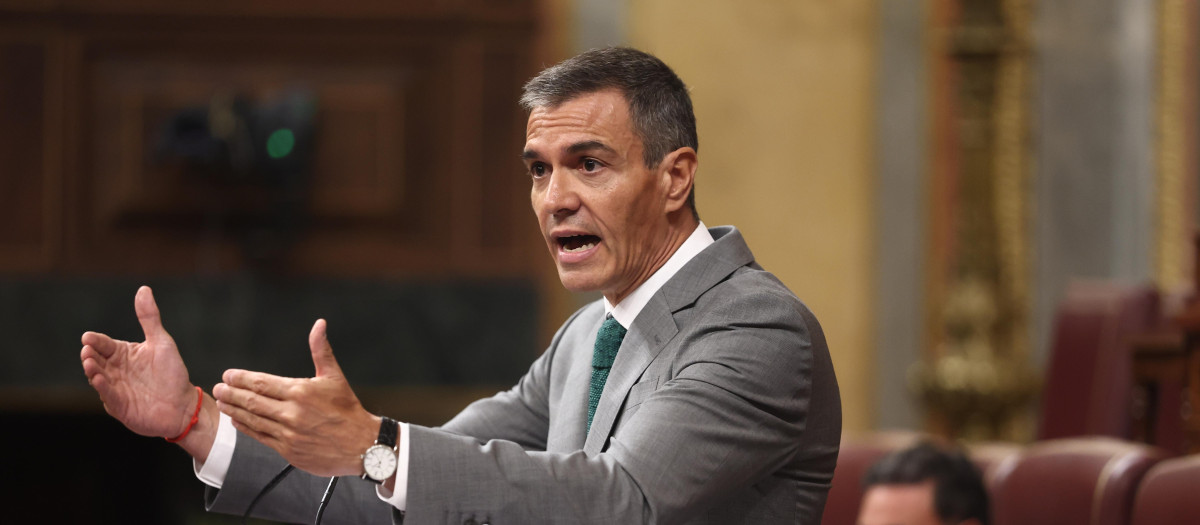 Sánchez, durante una intervención en el Congreso de los Diputados