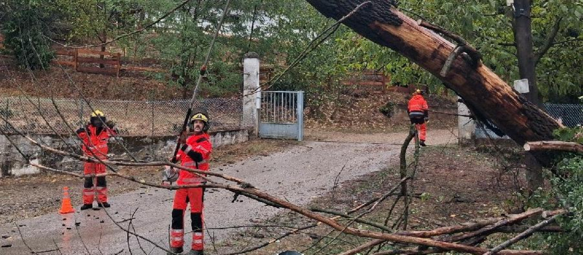 Bomberos trabajando en un árbol caído debido al temporal