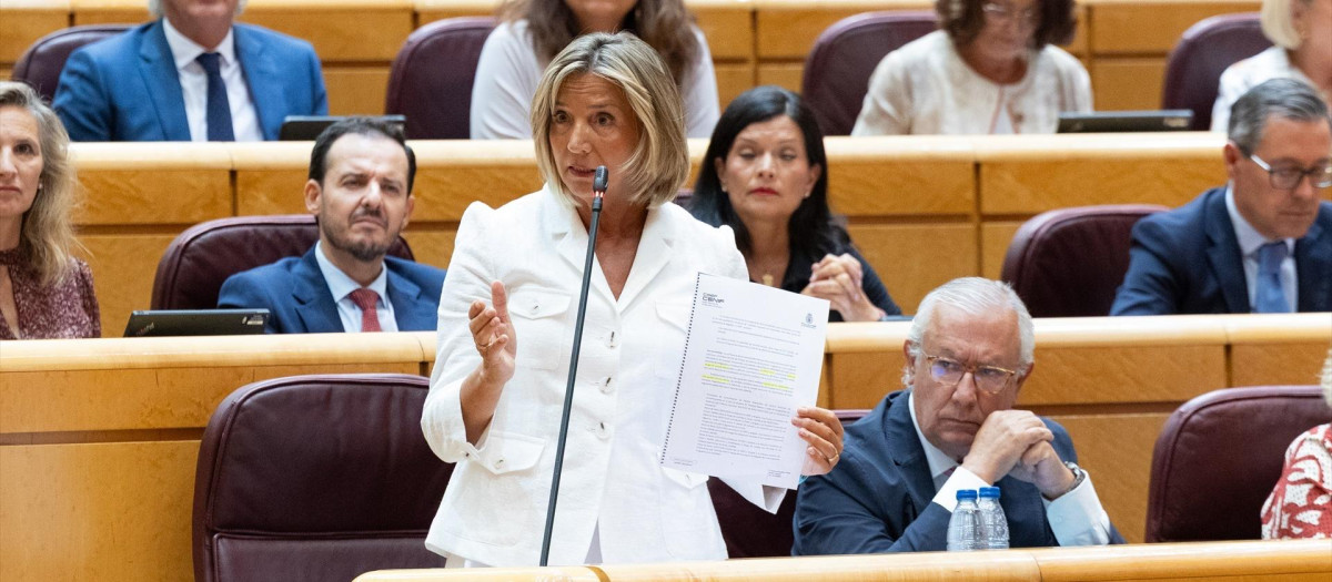 La portavoz del PP en el Senado, Alicia García